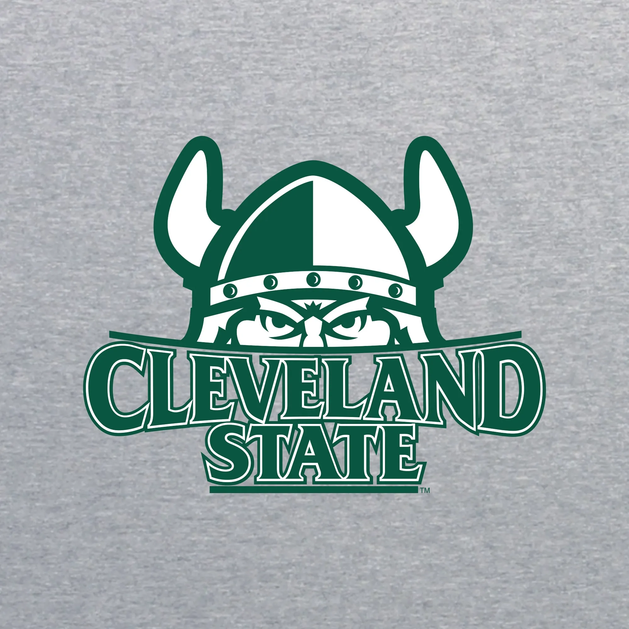 Cleveland State Vikings Primary Logo Youth T Shirt - Sport Grey